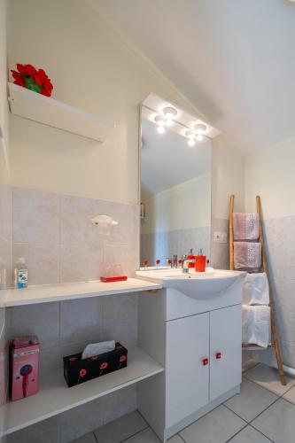 une salle de bain avec un lavabo et un miroir dans l'établissement B&B Le Bois Berranger, à Saint-Urbain