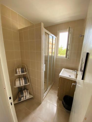 une salle de bain avec une douche, un lavabo et un miroir dans l'établissement La maison de Jade Le Mabrouka Place adulte de la réserve africaine offerte, à Port-la-Nouvelle