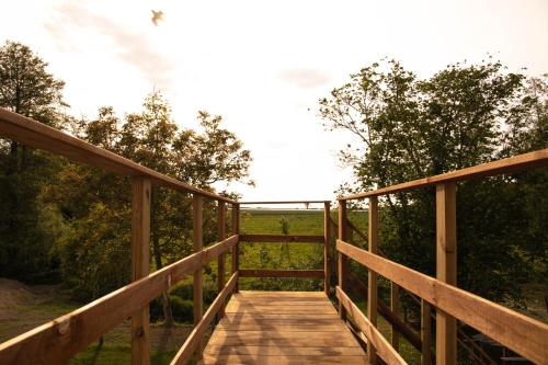 una pasarela de madera que conduce a un campo con árboles en LOFT Le chant des Oiseaux proche Mont St Michel, en Pleine-Fougères