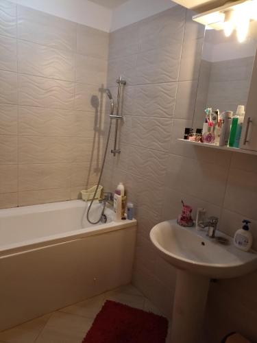 a bathroom with a tub and a sink and a shower at Cozy Popesti in Popeşti-Leordeni