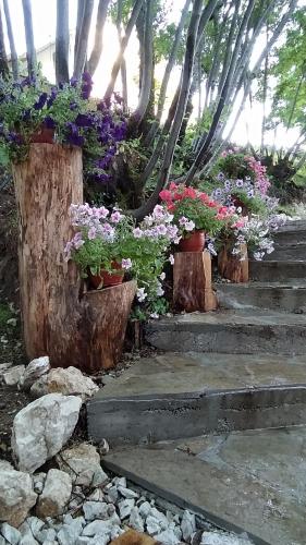 a set of stairs with flowers in pots at Brvnara Fairy Tale in Cetinje