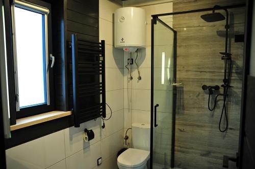 uma casa de banho com um WC e uma cabina de duche em vidro. em Domki u Biesiady em Lesko