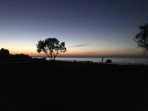 a tree in front of the ocean at sunset at Piejūras māja skandināvu stilā! Seaside scandi house! in Lapmežciems