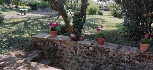 three potted plants sitting on a stone wall at propriété familiale MERLE proche PARAY LE MONIAL in Vauban