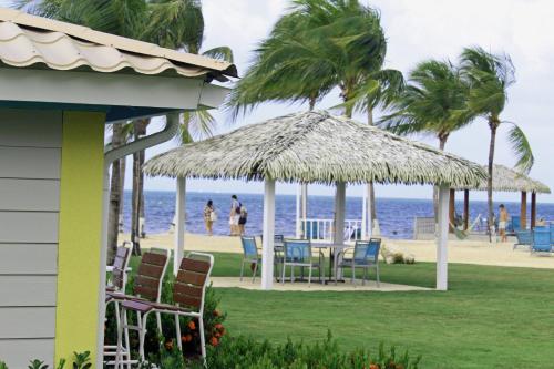 a house with chairs and tables on the beach at Holiday Inn Resort Grand Cayman by IHG in George Town