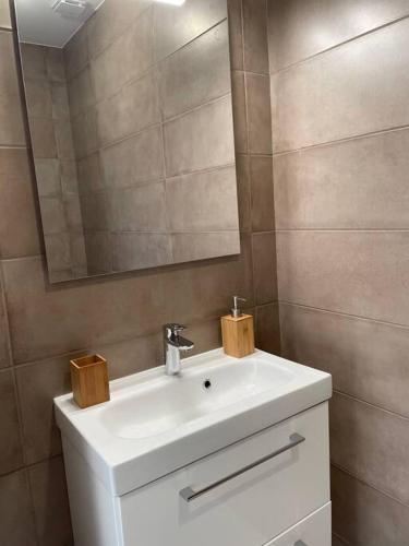 une salle de bain avec un lavabo blanc et un miroir dans l'établissement Maison Fleurs de Lys, climatisée, WiFi et Parking Privée Gratuit, Lave-Linge, Vernon Giverny, à Vernon