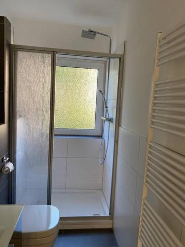 ein Bad mit einer Dusche, einem WC und einem Fenster in der Unterkunft Bezaubernde Wohnung in Wolfsburg Stadtnah in Wolfsburg