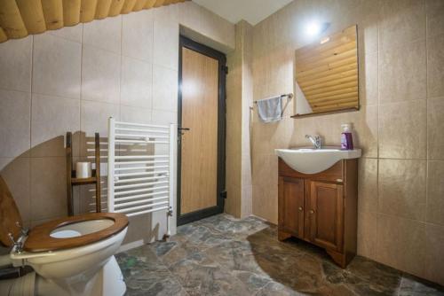 La salle de bains est pourvue de toilettes et d'un lavabo. dans l'établissement The Lodge, à Moieciu de Jos