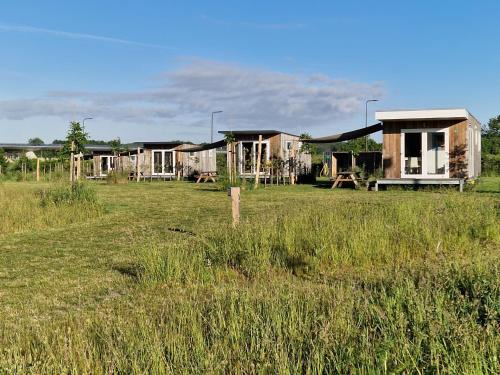 a row of houses in a field of grass at De Weitens Valkenswaard in Valkenswaard