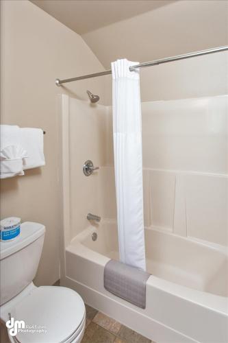 a white bathroom with a toilet and a shower at Kenai Airport Hotel in Kenai