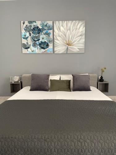 Leone apartments with free parking