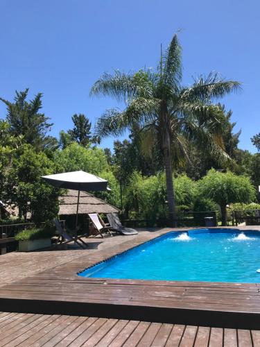 a swimming pool with a wooden deck and a palm tree at Rio Manso Tigre in Tigre