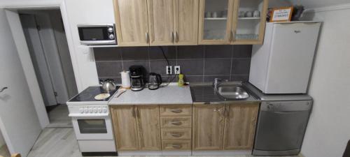 Kuchyň nebo kuchyňský kout v ubytování Apartment Gradina