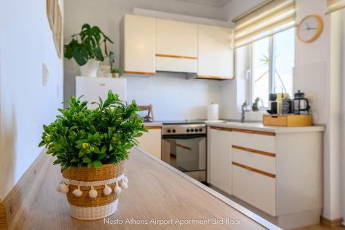 a kitchen with a potted plant on a wooden table at Nesto Athens Airport in Spáta