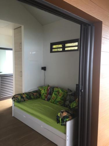 a bedroom with a green bed in a room at Fare Anuanua in Haapiti