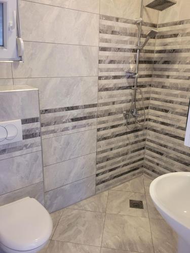 ein Bad mit einer Dusche, einem WC und einem Waschbecken in der Unterkunft Sunny House Apartments Doni Štoj in Bregvija