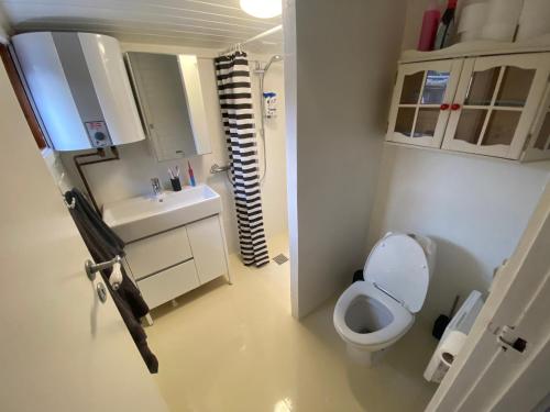 bagno con servizi igienici, lavandino e specchio di Pomonahouse a Nakskov