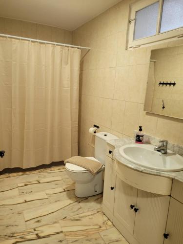 a bathroom with a toilet and a sink at Casa rural L´Amparo -3 espigas- Categoría superior-15 personas in Navarrete del Río