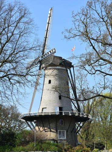 Gambar di galeri bagi Studio Schipper di Alkmaar