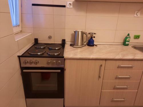 a kitchen with a stove and a counter top at Bogdanoski Studios & Guest Rooms in Ohrid