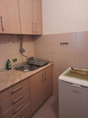 a small kitchen with a sink and a stove at Bogdanoski Studios & Guest Rooms in Ohrid