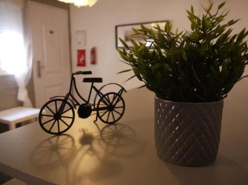 a bike on a table next to a vase with a plant at Cozy Rooms - BAÑERA HIDROMASAJE in Valencia