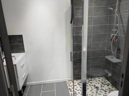 a bathroom with a shower and a toilet at REZ DE CH avec terrasse et parking Appartement 2 ch à Lurs in Lurs