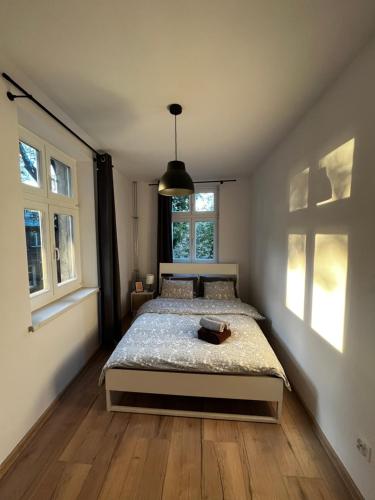 a bedroom with a bed and two windows at Central Apartment in Bydgoszcz