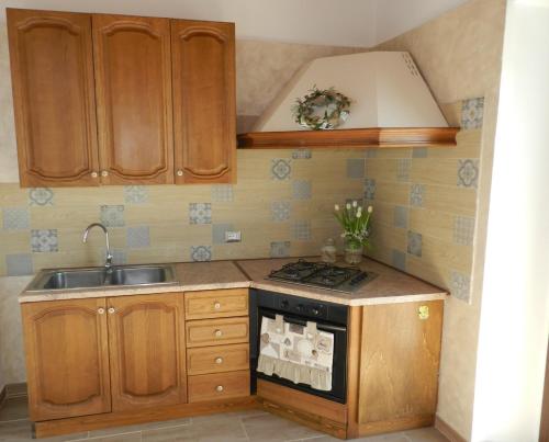 a kitchen with a sink and a stove top oven at B&B GLI ULIVI in SantʼAnna Arresi