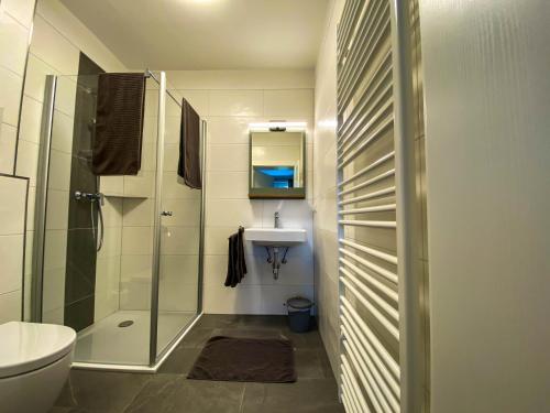 a bathroom with a shower and a toilet and a sink at die Hauswirtschaft in Maria Elend