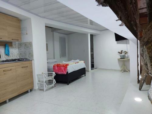 een grote kamer met een bed en een keuken bij La Casa de La Piedra in Guatapé