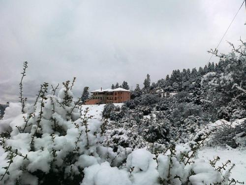 a snow covered hill with a house in the background at Vytina Mountain View Hotel in Vytina