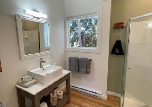 a bathroom with a sink and a mirror and a shower at Quarrystone House B&B in Fernwood