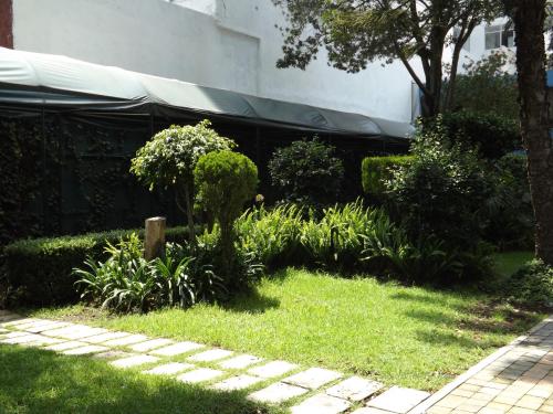 a garden with grass and plants and a tent at Pedregal Palace in Mexico City