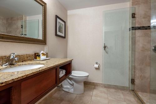 a bathroom with a toilet and a glass shower at Best Western Plus Oswego Hotel and Conference Center in Oswego