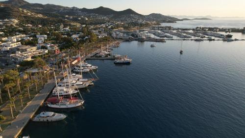 an aerial view of a harbor with boats in the water at Sea Palm Otel Yalıkavak in Yalıkavak
