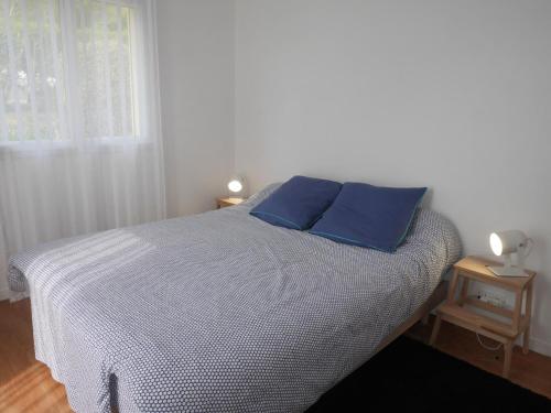 Un dormitorio con una cama con almohadas azules y una ventana en Holiday Home Telgruc-sur-Mer - BRE06106j-F, en Telgruc-sur-Mer