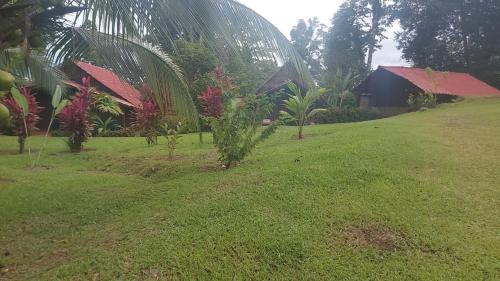 Cabañitas Rio Celeste