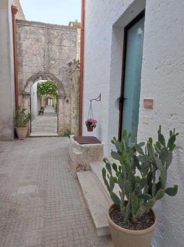 an alley with a potted plant next to a building at Corte Piri in Tricase
