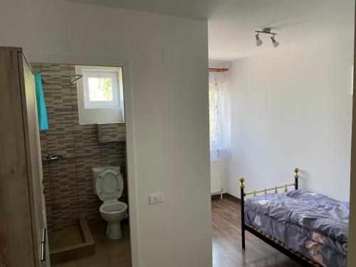 a bathroom with a bed and a toilet in a room at La Stermin in Viştea de Sus