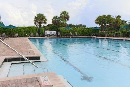 a large swimming pool with chairs and umbrellas at Arnold Palmer's Bay Hill Club & Lodge in Orlando