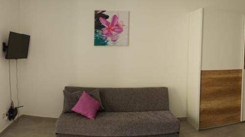 Μια τηλεόραση ή/και κέντρο ψυχαγωγίας στο Wonderful apartments with shared jacuzzi and panorama rooftop