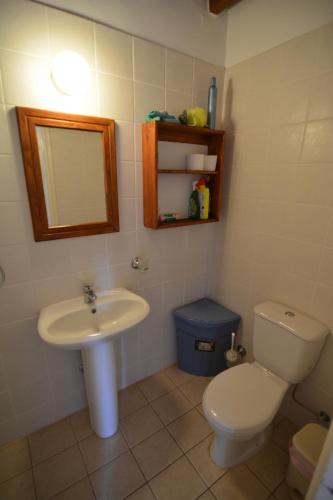 a bathroom with a toilet and a sink and a mirror at Elpida's Stone Houses in Goudhi