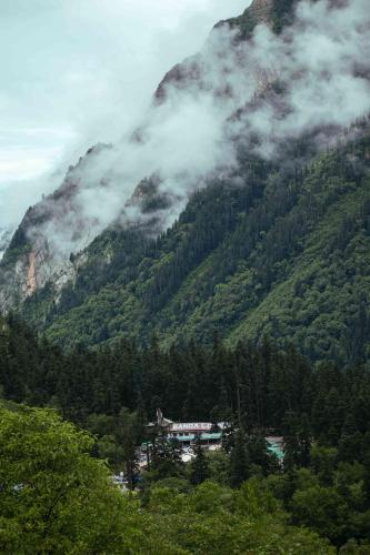 a mountain with trees and a town in front of it at Odyssey Stays Ghangaria - 9Kms Trek from Pulna, Govindghat in Lokpāl