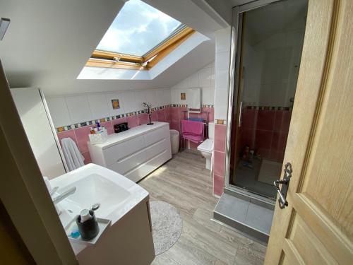 La salle de bains est pourvue d'un lavabo, d'une douche et d'une lucarne. dans l'établissement Charming villa, tranquillity by the forest, à Lit-et-Mixe