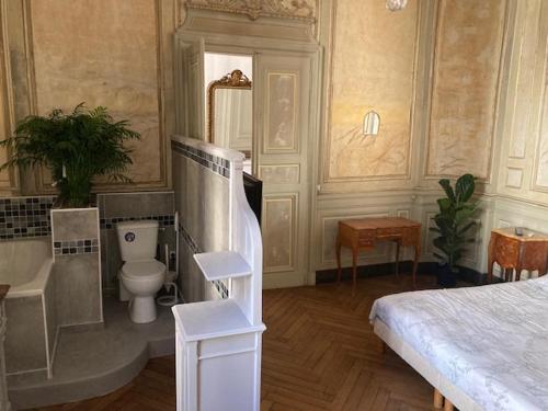 um quarto com uma cama e uma casa de banho com um WC em Hôtel du marquis De Broc em Le Mans