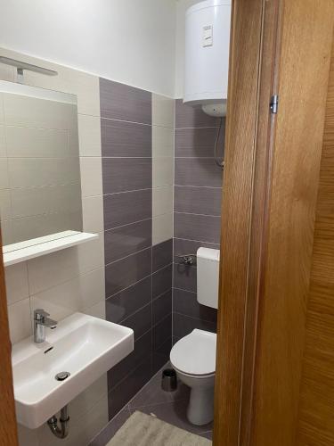 a bathroom with a white toilet and a sink at Apartman Ana Kali in Kali