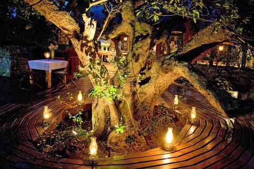 a tree with lights around it with a table at Mosaic Lagoon Lodge in Stanford