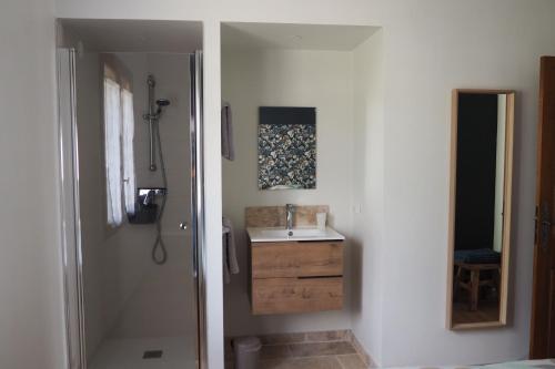 ein Badezimmer mit Waschbecken und Spiegel in der Unterkunft Maison Le Grand Verger in Goult
