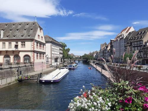 R-Appartements Strasbourg Fenêtresurkrut appartement 2 à 4 personnes centre-ville